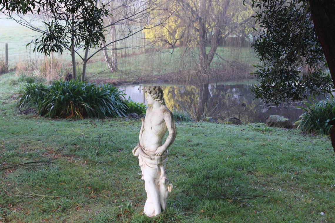 Pond in Winter